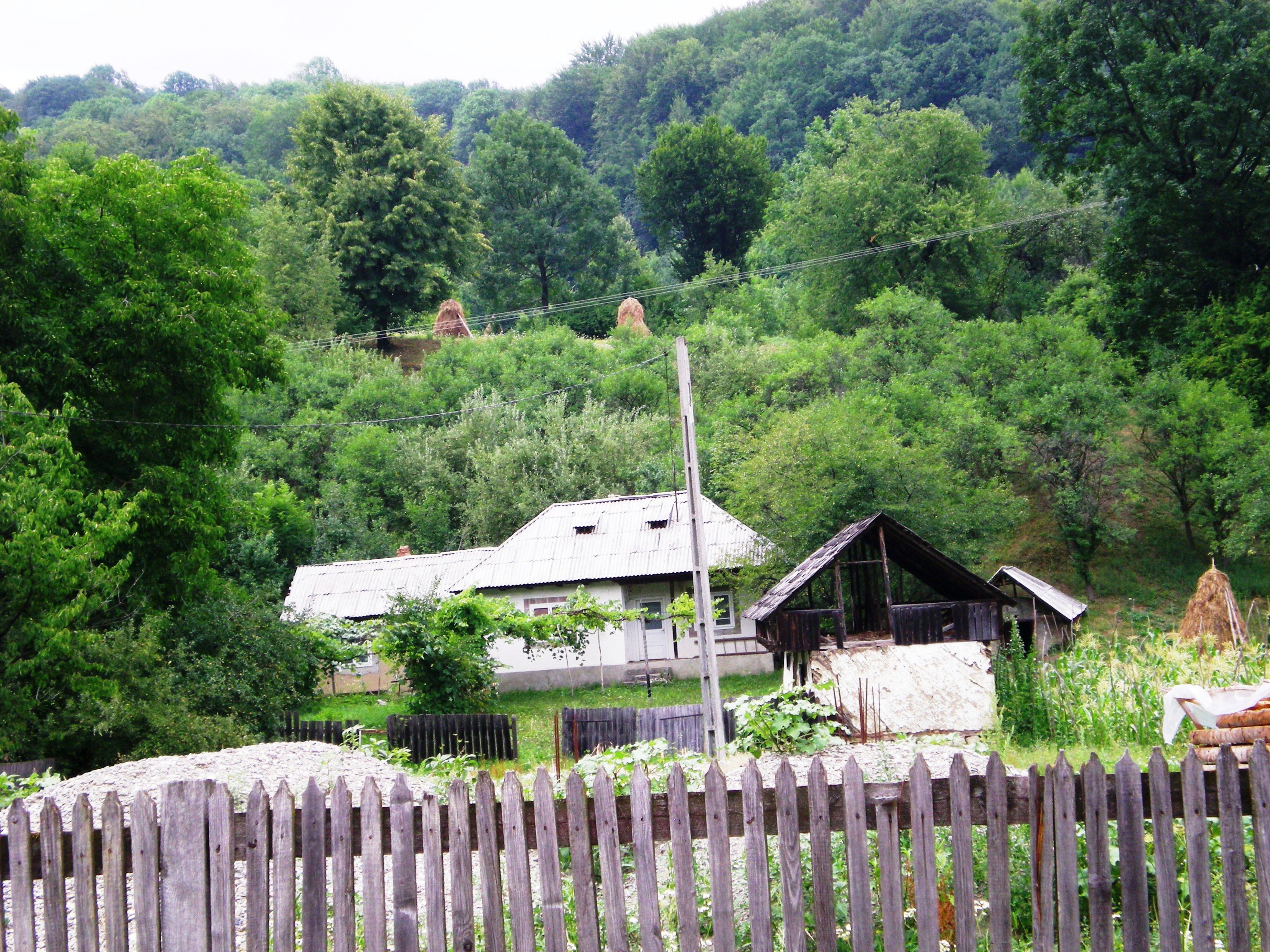Negulesti